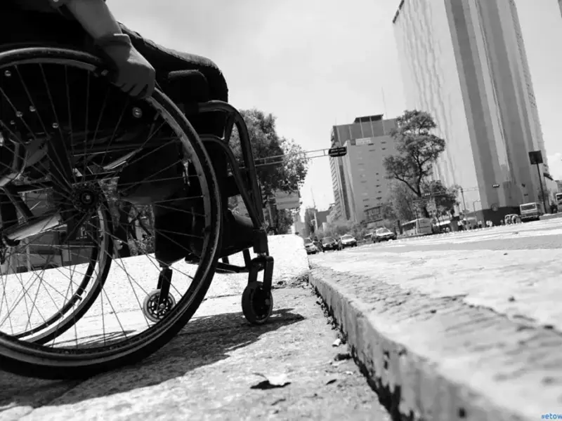 personas con discapacidad apoyos gobierno