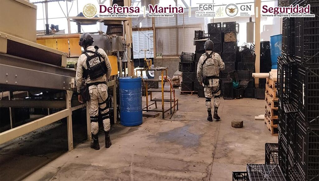 Plan Michoacán: 278 detenidos, armas drogas y artefactos explosivos asegurados en 49 días-2