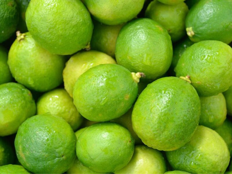 Plan Michoacán destina 720 mdp para apoyo a productores de cítricos en Tierra Caliente: Sader
