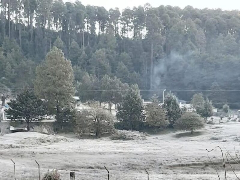 alerta por bajas temperaturas Michoacán