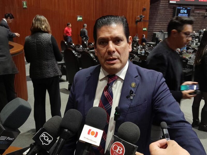 Apela Partido Verde por permanencia de pluris y prerrogativas, y sanciones para actos anticipados de campaña