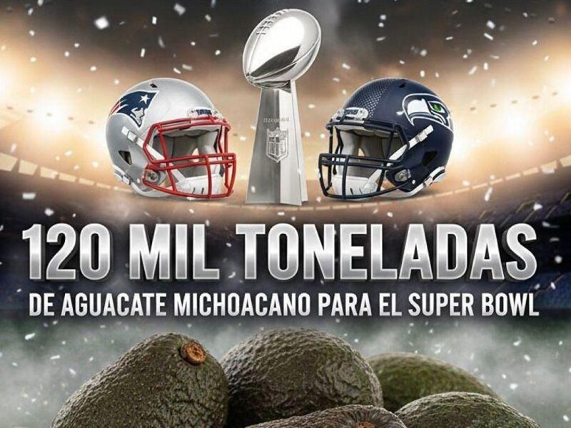 Michoacán enviará más de 120 mil toneladas de aguacate para el Super Bowl: Bedolla