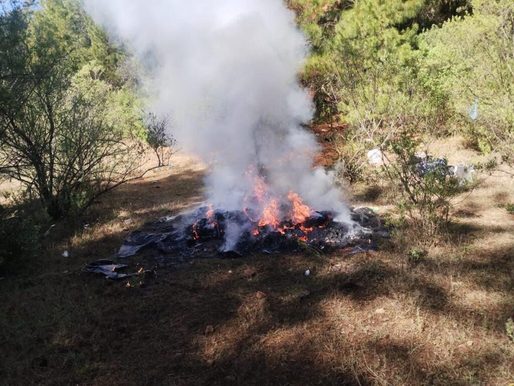 neutralizan 2 campamentos ilícitos en Salvador Escalante