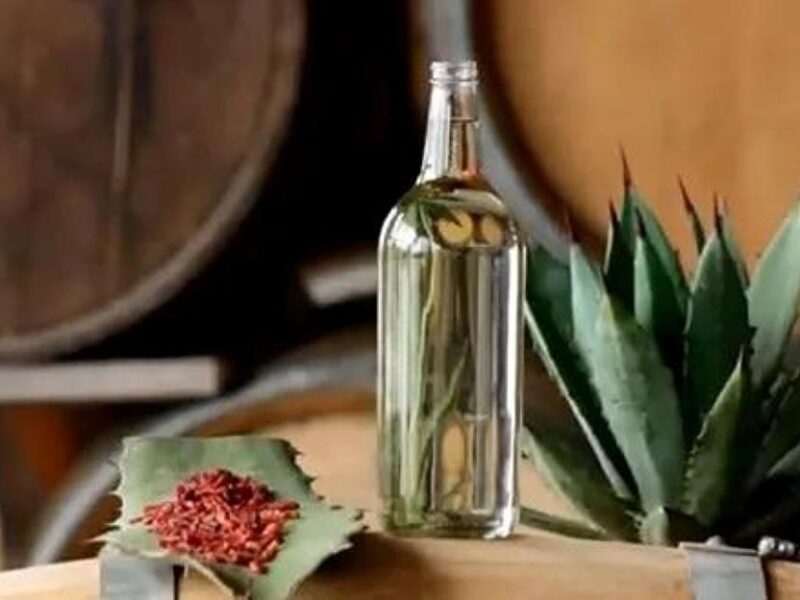 Sólo 6 de 80 productores de mezcal en Morelia están certificados