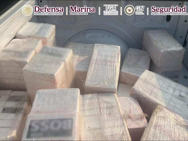 Autoridades interceptan avioneta con más de media tonelada de cocaína en Oaxaca, informa Harfuch