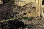 Un cráneo y restos humanos fueron localizados en Tarímbaro, Michoacán