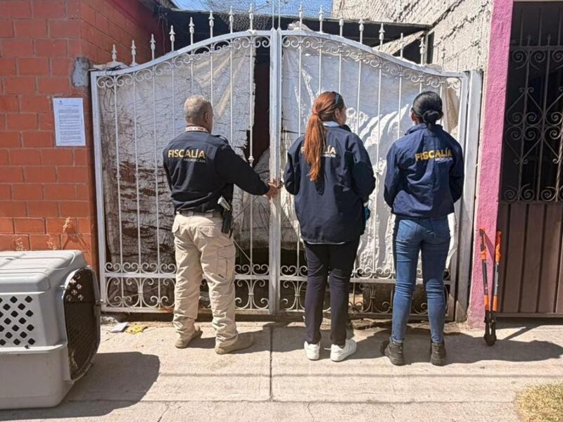 Durante cateo en Tarímbaro y asegura ejemplar canino por maltrato animal