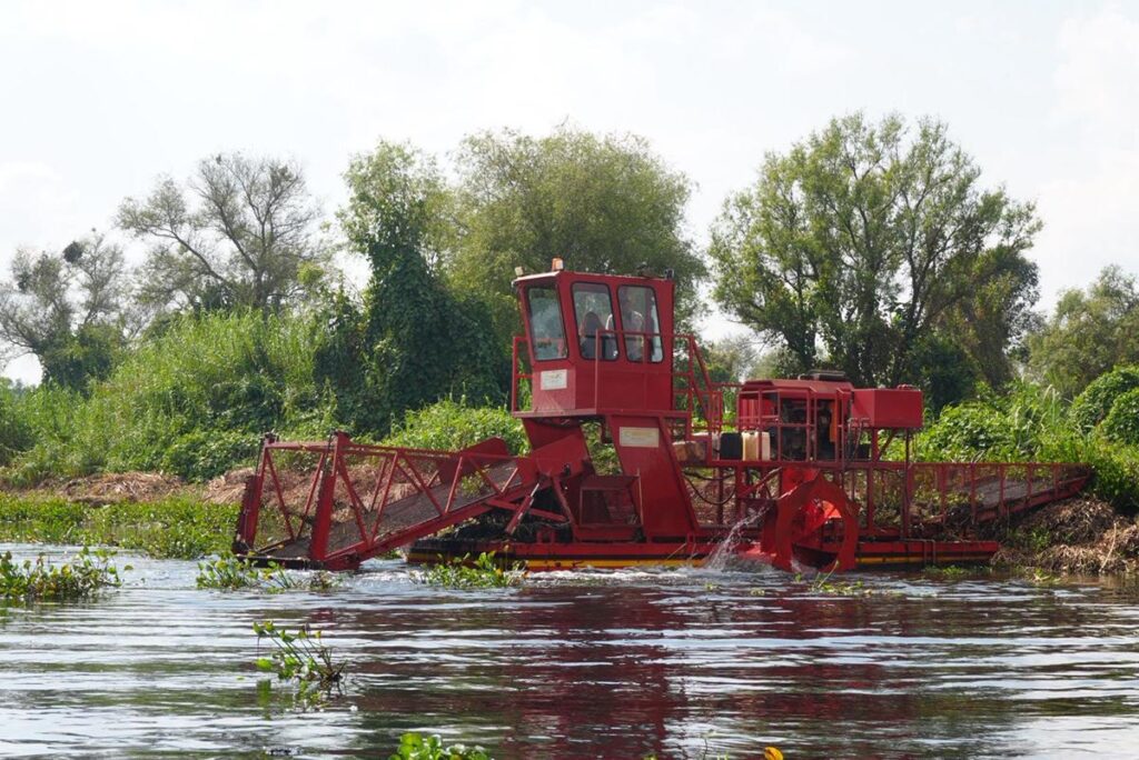 Empleo temporal y limpieza marcan la ruta para rescate del lago de Pátzcuaro
