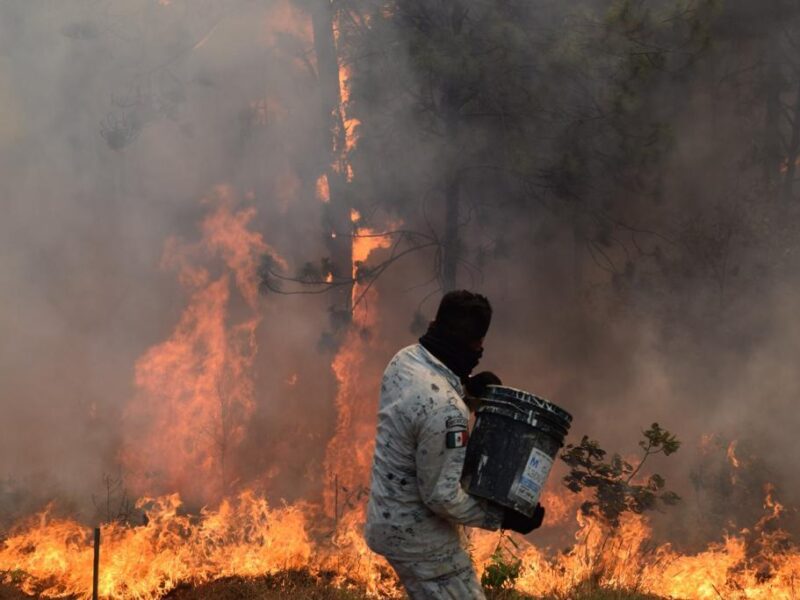 En 2026 en Morelia, entre cuatro y seis incendios diarios, urgen acciones de prevención