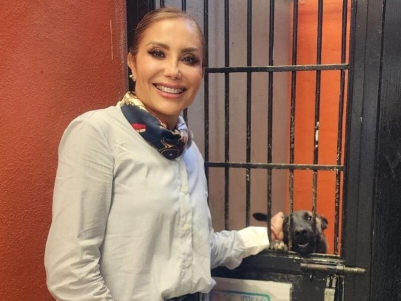 Exigen auditar hasta 8 mdp en Protección Animal; Minerva Bautista revira