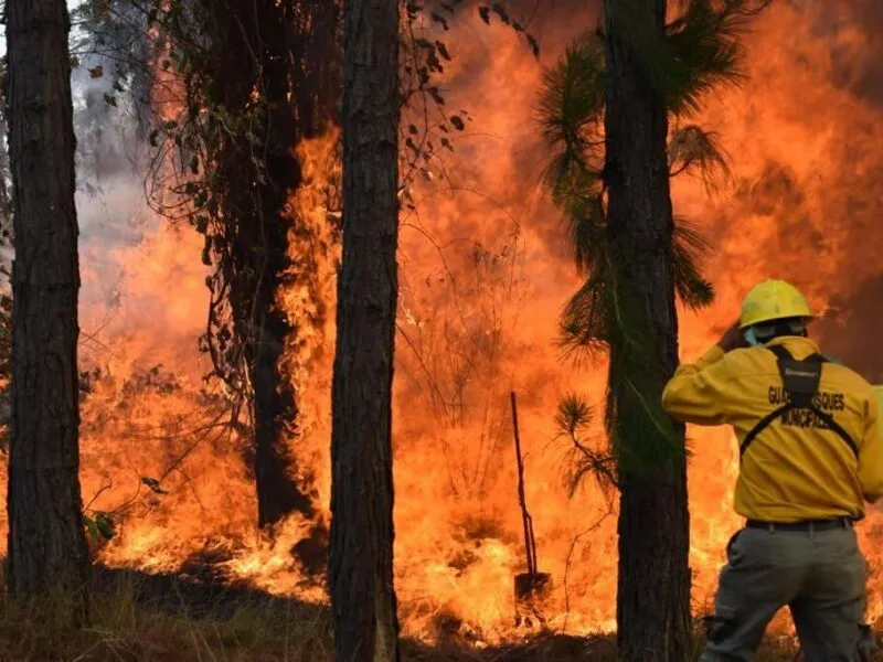 Gobierno alista helicóptero y brigadas ante arranque de temporada de incendios forestales