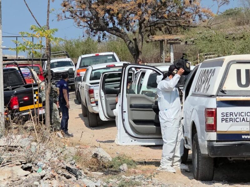 Identifican a la mujer atacada por una jauría en Morelia