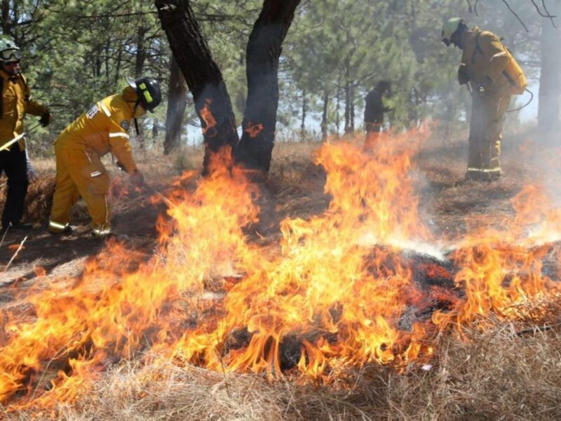 Incendios forestales se intensificarían en 2026 ante fenómeno de "El Niño"