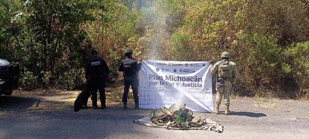Localizan e inhabilitan campamento clandestino en Queréndaro: SSP-3