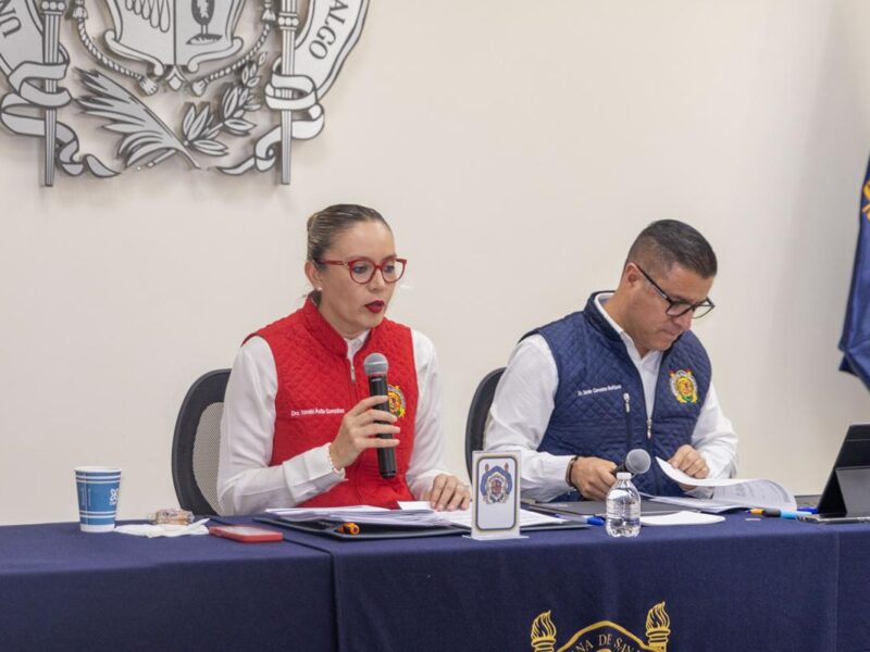 nuevas licenciaturas UMSNH programas académicos