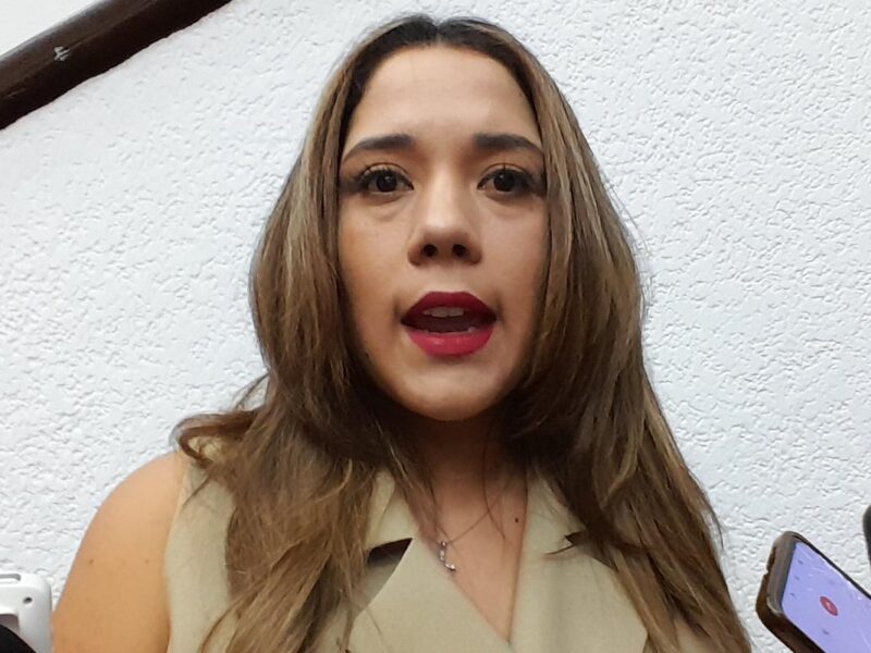 Plantean a diputados de Michoacán donar un mes de salario para deudos de soldados ultimados