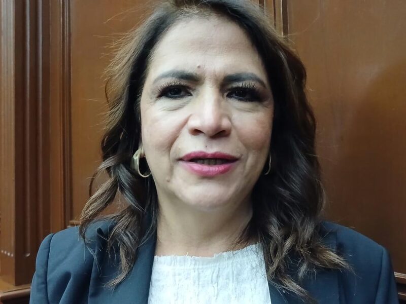Reforma electoral plantea legitimidad de las plurinominales en las regiones que representan