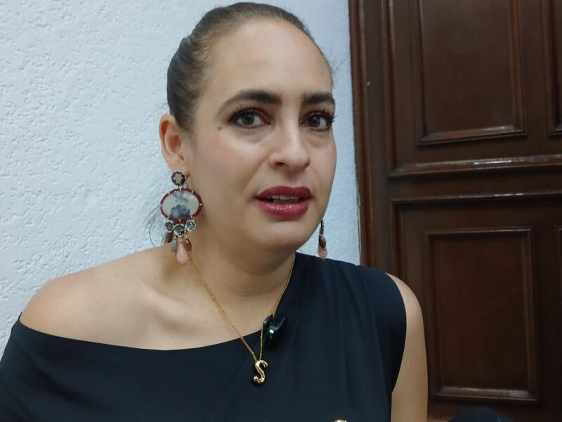 Se crearía un padrón de rescatistas y asociaciones para atender a animales en situación de calle en Michoacán