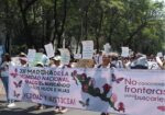 43 buscadoras han sido asesinadas o desaparecidas en México, desde 2010