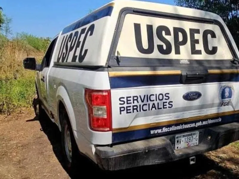Bolsas con restos humanos son halladas en camino de Zamora