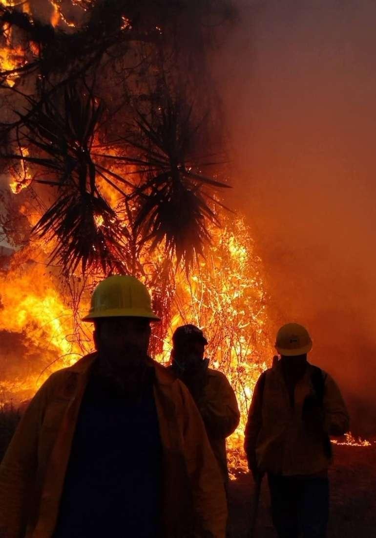 Brigadistas mueren en incendio en Tacámbaro, Michoacán 1