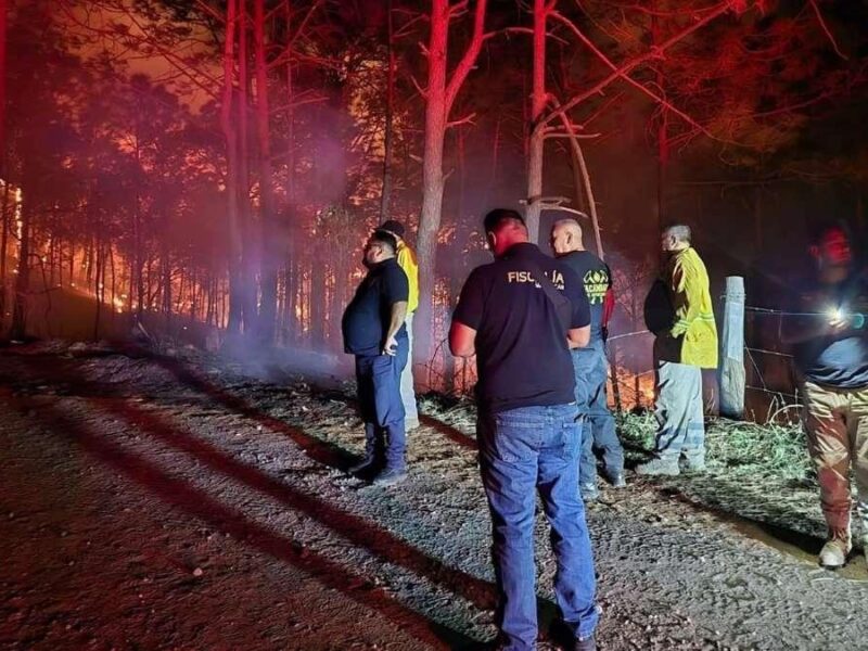 Brigadistas mueren en incendio en Tacámbaro, Michoacán