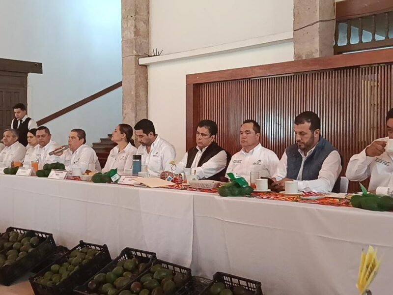 Busca nueva unión de aguacateros en Michoacán romper dependencia de EU