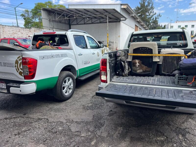 Despliegan operativo de búsqueda en Huandacareo; binomios caninos apoyan al personal de PC Michoacán