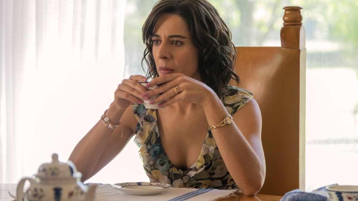 El yerno en Netflix: Tráiler, estreno y reparto de la película 2