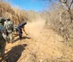 Fuerzas Federales y GC desactivan cuatro artefactos explosivos en Apatzingán