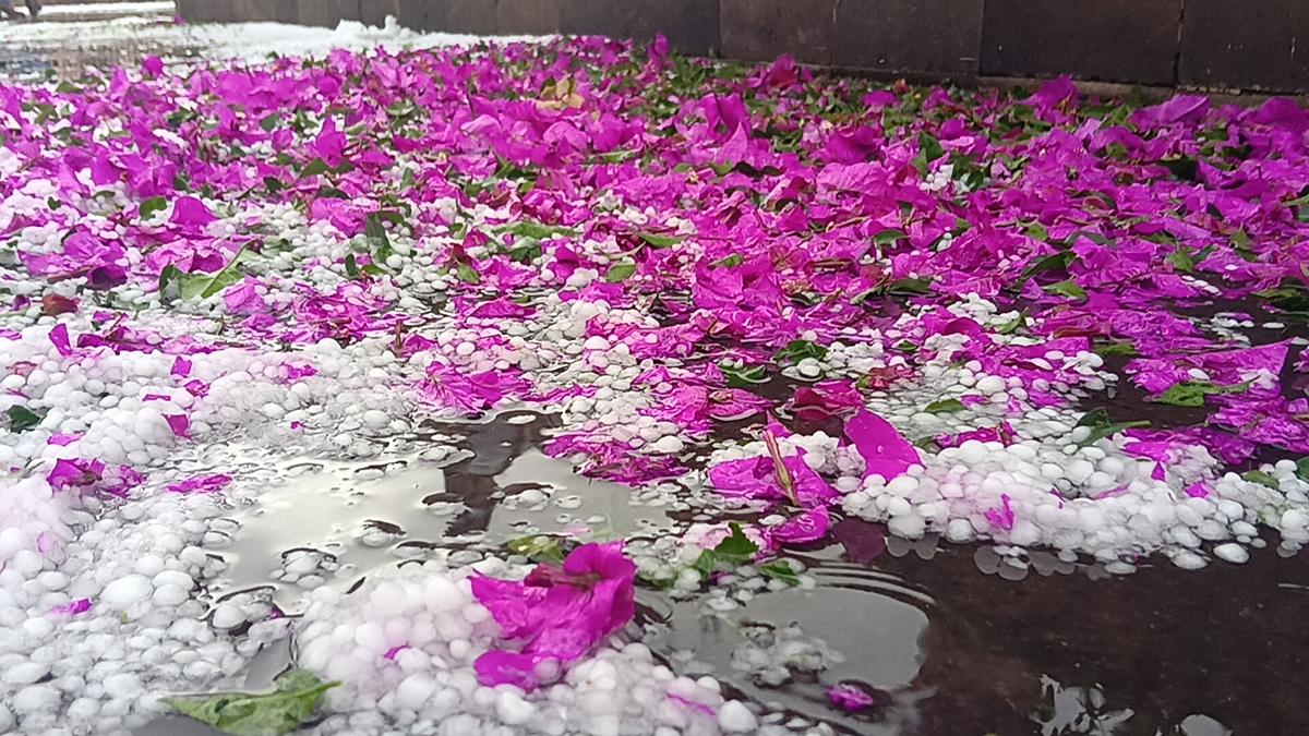 Granizada cubre centro de Morelia; PC inicia recorridos de supervisión
