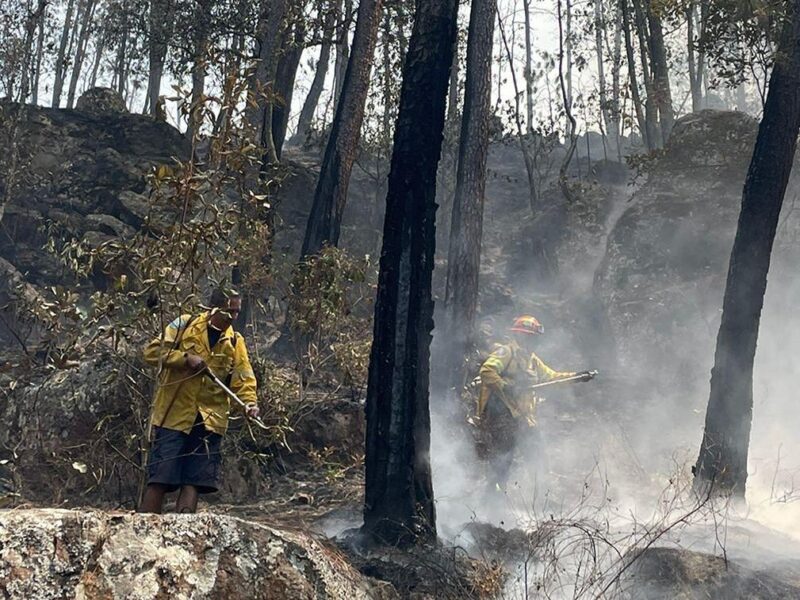 Incendio en Área Natural Protegida de Tzitzio, controlado al 100 %