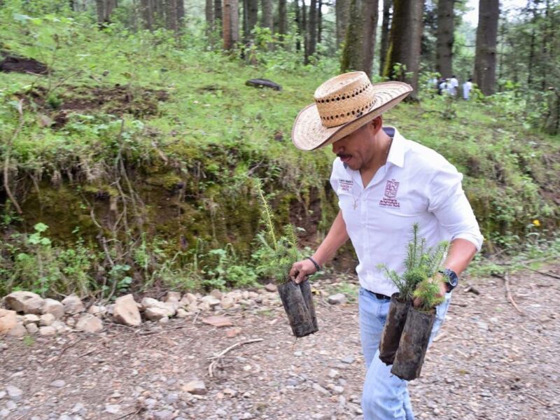 Inversión de 1 mdd fortalece la protección de la Reserva de la Biósfera de la Mariposa Monarca