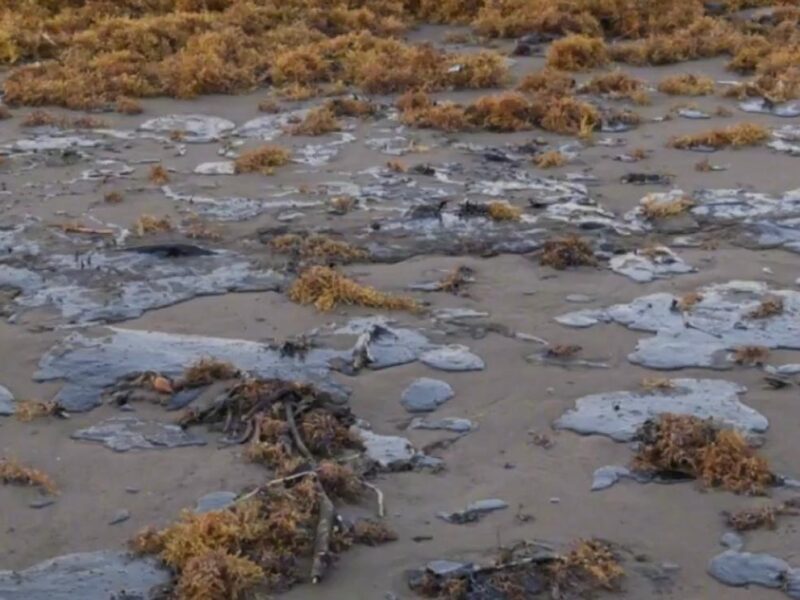 MC presenta denuncia formal contra Pemex ante la "catástrofe ambiental" tras derrame de crudo en Veracruz