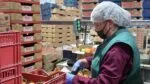 Michoacán supera los 2.2 millones de personas ocupadas; desempleo baja a 1.41%
