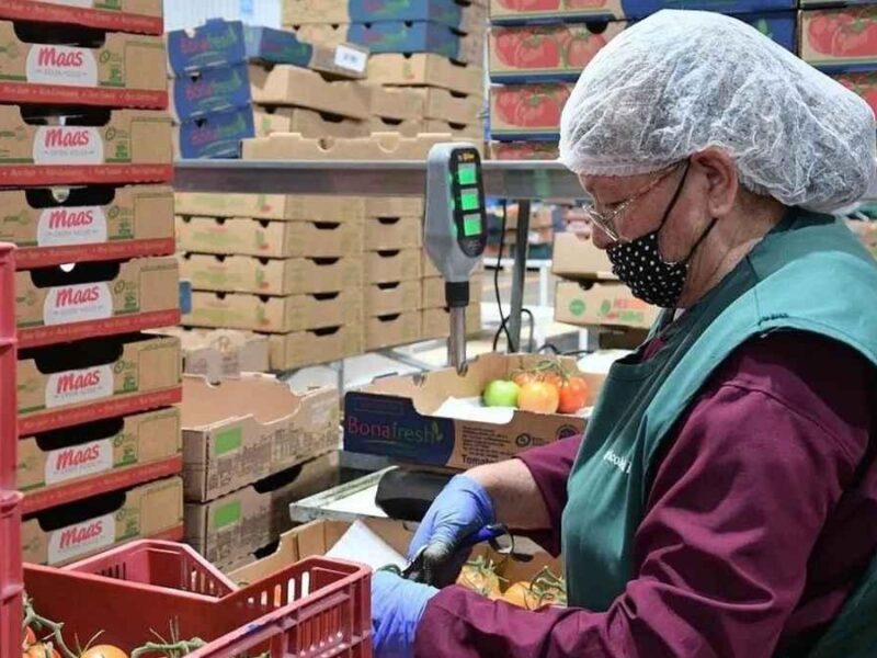 Michoacán supera los 2.2 millones de personas ocupadas; desempleo baja a 1.41%