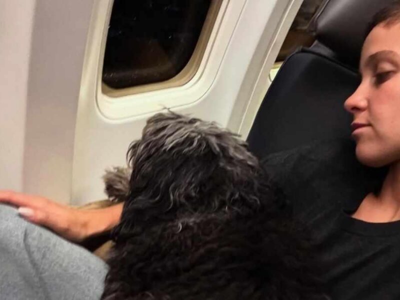 Natasha Dupeyrón denuncia discriminación en aerolínea por su perro 1