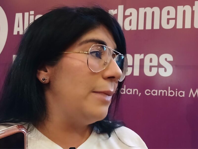 No ha definido PAN posible vía legal contra la desincorporación de bienes del estado