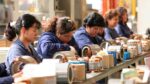 Michoacán, por debajo del promedio nacional en participación laboral femenina