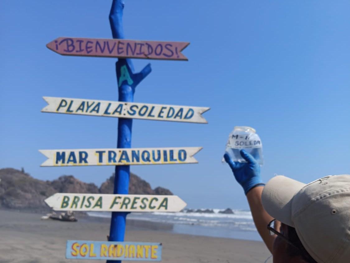 Playas michoacanas revisadas para vacaciones seguras