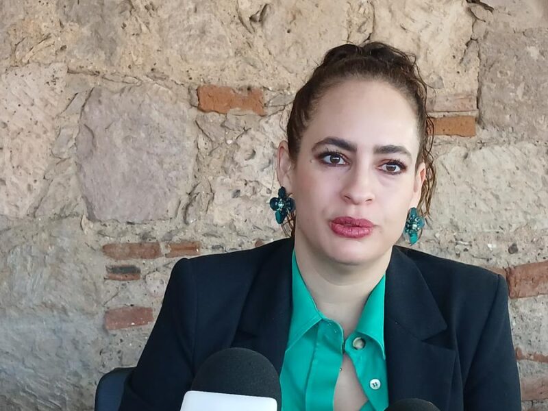 Postura del PVEM es la misma en lo local que en lo federal en reforma electoral