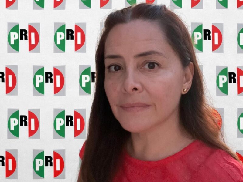 regidurías representación de población Edna Martínez