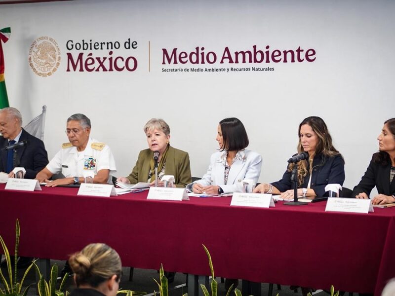 Semarnat reconoce daño a fauna por derrame de petróleo en el Golfo de México-1