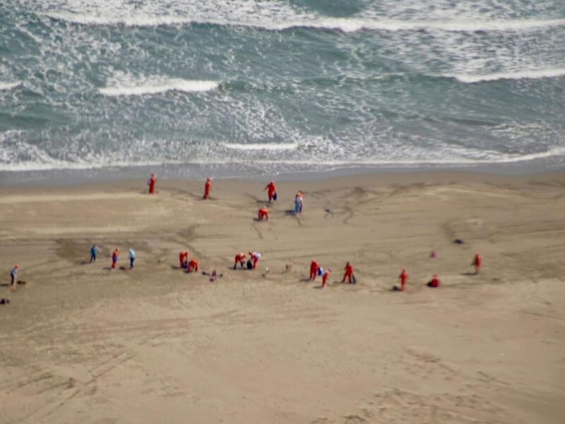 Semarnat reporta 85% de avance en limpieza por chapopote en playas de Veracruz y Tabasco