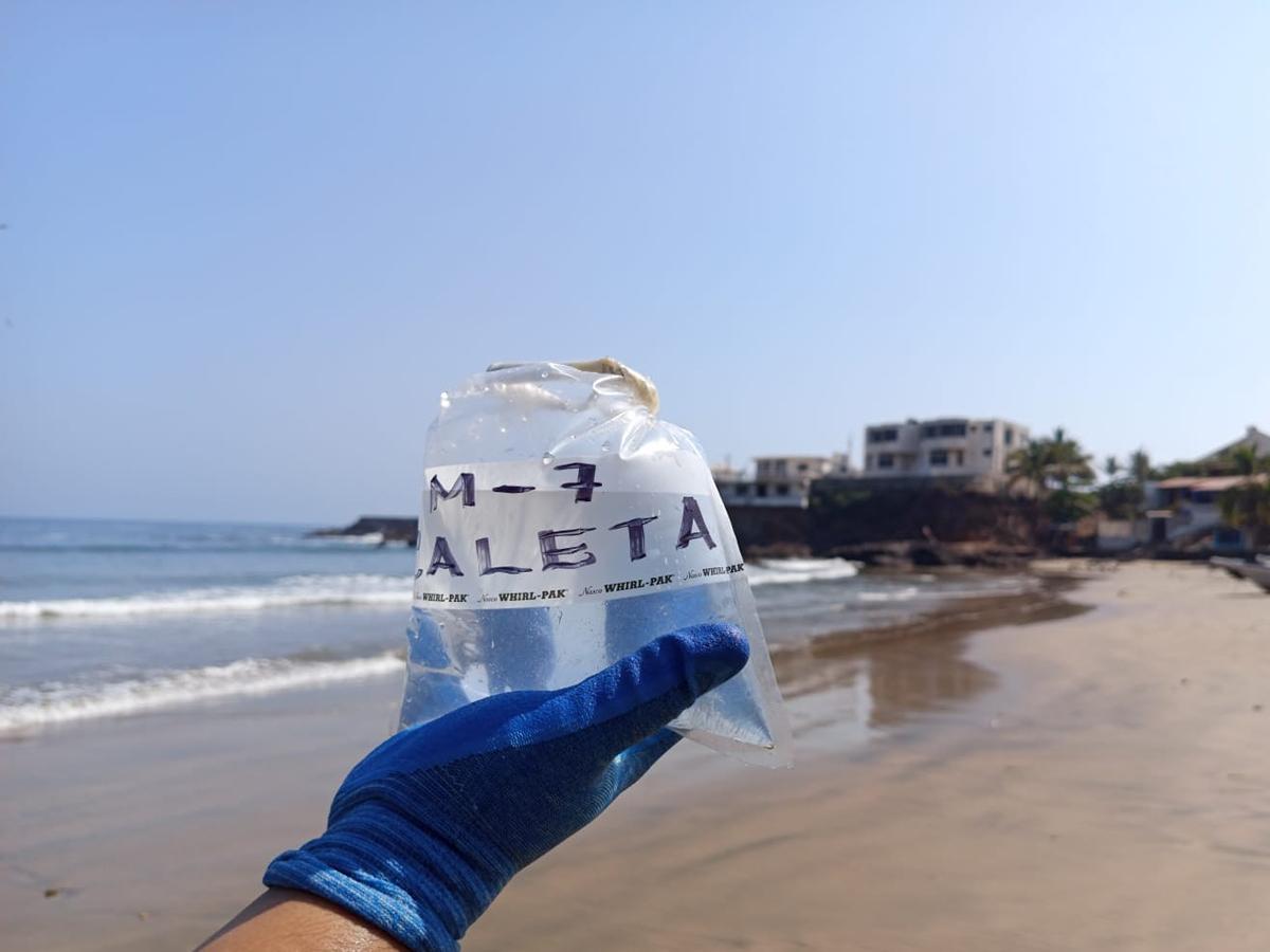 sSM inicia muestreo sanitario en playas michoacanas