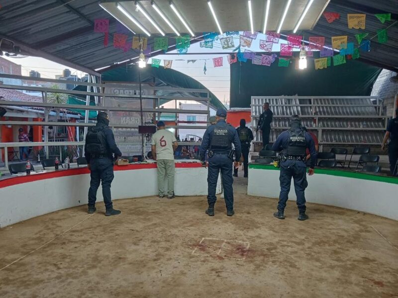 SSP Michoacán palenques clandestinos 2026