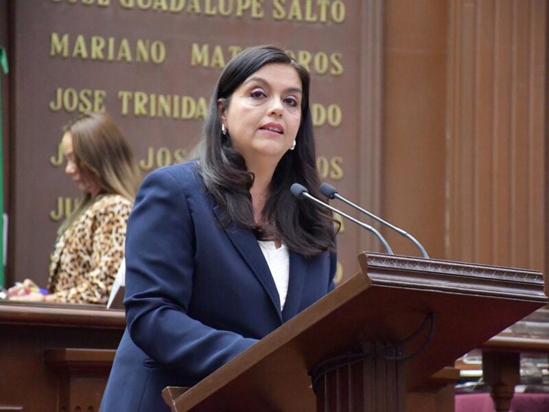 Tere Herrera propone Reforma contra muerte neonatal en Michoacán