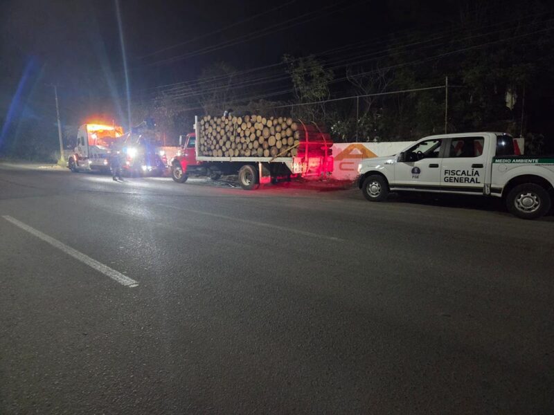 Asegura FGE vehículo y detiene a dos hombres por transporte ilegal de madera en Morelia