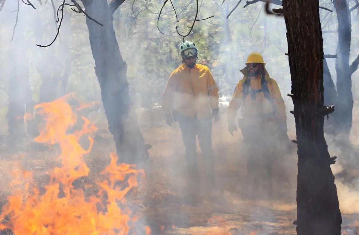 Atiende Gobierno de Michoacán incendio forestal en Nuevo Urecho-2