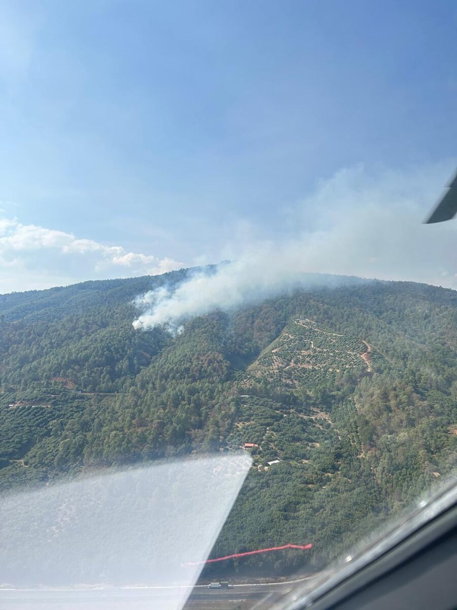 Atiende Gobierno de Michoacán incendio forestal en Salvador Escalante-3
